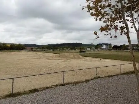 Photo de Reit- und Fahrverein Buchen e.V.