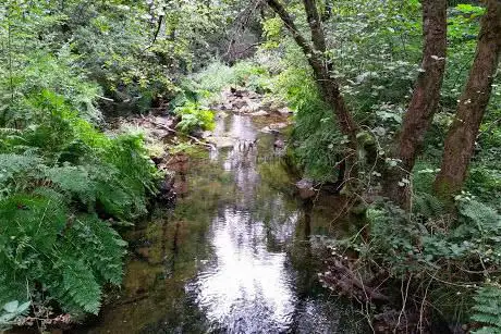 Photo de Ponte da Dorna
