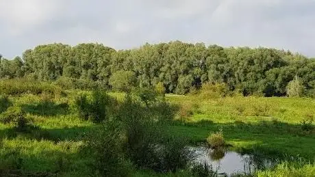 Photo de Aussichtsturm Klostermersch