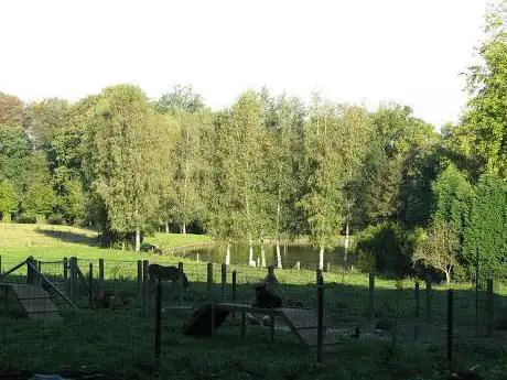 Photo de Parc Dalle Dumont