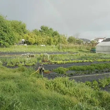 Photo de Verxel
