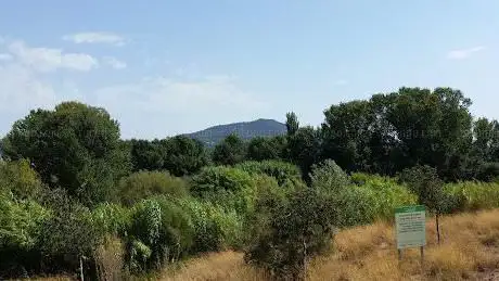 Photo de Aiguamolls de Molins de Rei