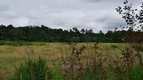 Photo de Aussichtspunkt auf Naturschutzgebiet