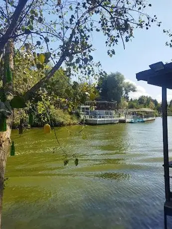 Photo de Koca Deresi