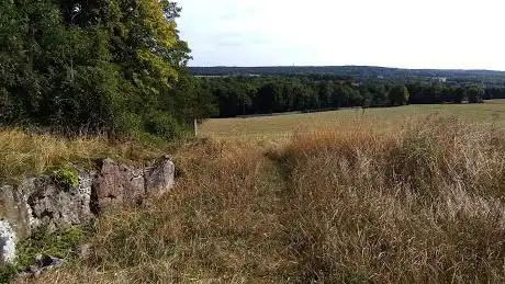 Photo de La cave aux fées