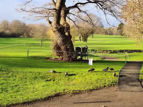 Photo de Pitshanger Park
