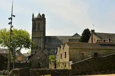 Photo de Collégiale Notre-Dame du Roncier