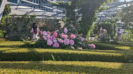 Photo de The Garden at 120