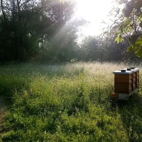 Photo de Bienenpark Neusäß