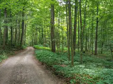 Photo of John E. Pearce Provincial Park