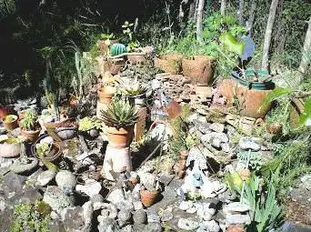 Photo de JARDIN DU CLOS DU PIOULE