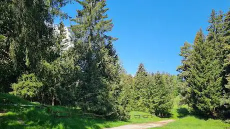 Photo de Parco dell'Alto Sebino