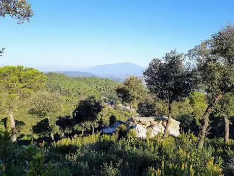 Photo de Font de Sant Bartomeu de Cabanyes