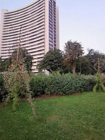 Photo de Mères et Grands-Mères de la Place de Mai Garden