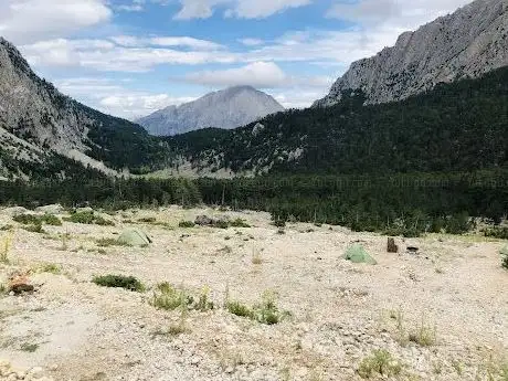 Photo de Hacer ormanları