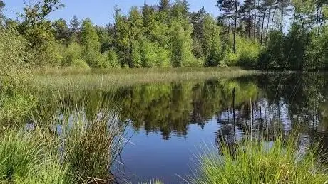 Photo de Pietersembos