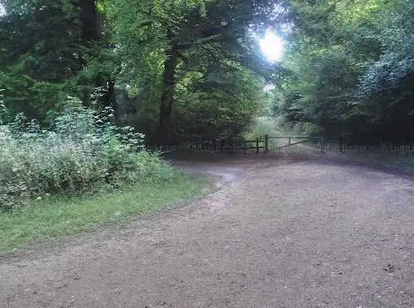 Photo de Inholmes Wood Forest Commission