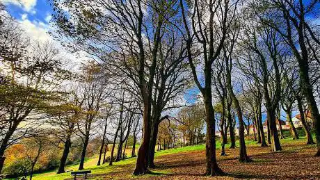 Photo de Cockett Woods Park