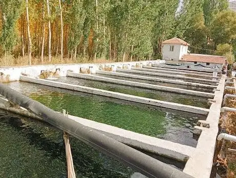 Photo de Doğantepe