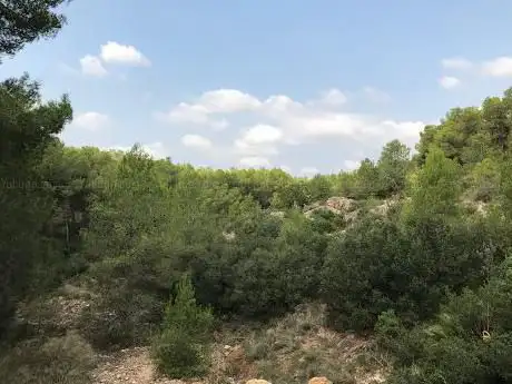 Photo de Ãrea de recreo La Pedrera