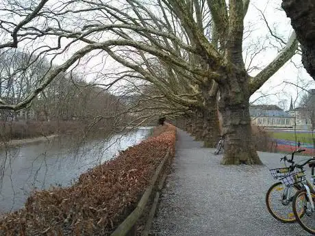Photo de Sihlhölzli