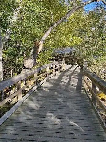 Photo de Vårdsätra boardwalk