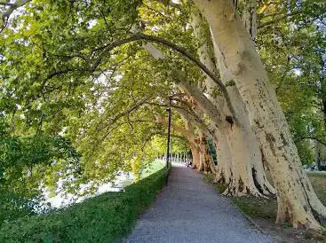 Photo de Park Platzspitz