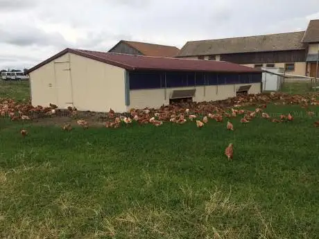 Photo de Ferme de la Judenmatt