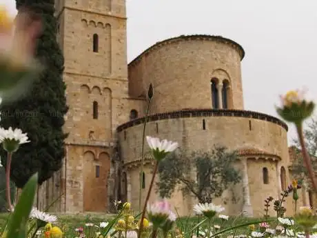 Photo de Abbaye de Sant'Antimo