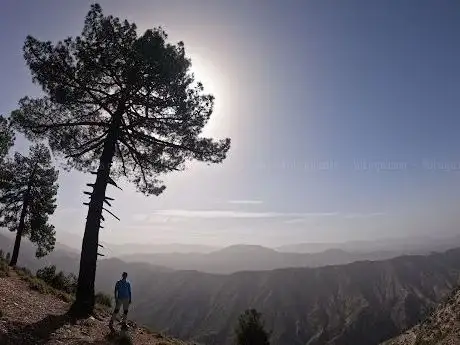 Photo de El Oued El Bared