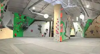 Photo de Vertical'Art Pigalle