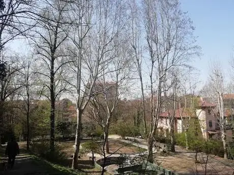 Photo de Forest Of Partisans