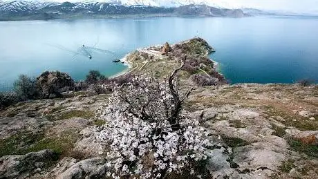 Photo de Van Safran Turizm Taşımacılık
