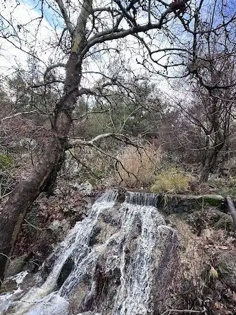 Photo de Şifalı Su Tesisleri