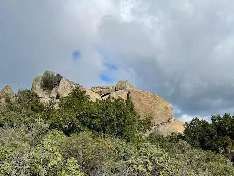 Photo de Sa perda manna