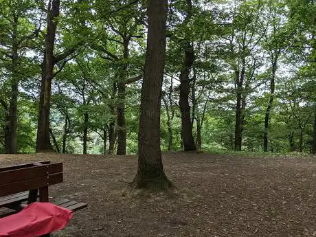Photo de Beauplan Forest
