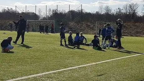 Photo de Haganäs artificial turf