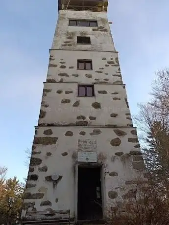 Photo of Giselawarte