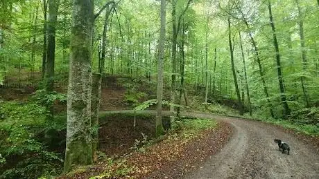 Photo de Wild Park