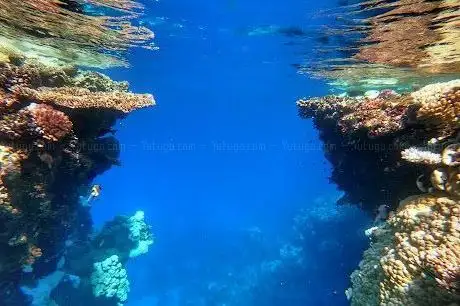 Photo de Shaab Abu Dabbab 1
