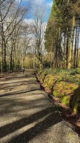 Iniscarn Forest