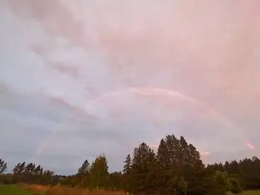 Photo of Ferguson Forest Disc Golf Course