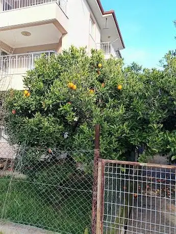 Photo de Koray Korkut Funda Tarhan Parkı