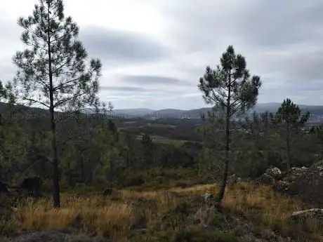 Photo de Pedra Furada Mirador Tomiño
