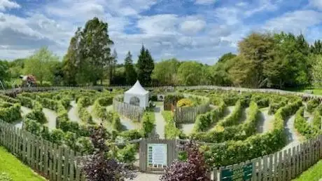 Photo de Greenan Maze