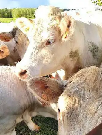 Photo de Rouvres en multien