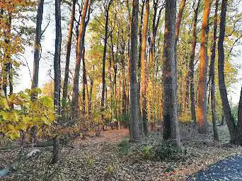 Photo de William T Davis Wildlife Refuge