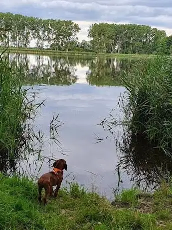 Photo de Pelsiner See