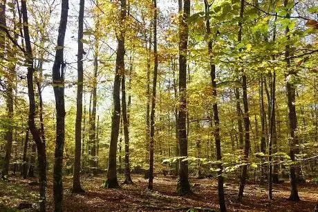 Photo de Parc naturel régional et Géoparc mondial Unesco Normandie-Maine