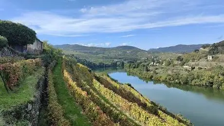 Photo de Percurso Pedestre do Vinho do Porto